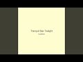 Tranquil Star Twilight