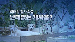 [뉴스큐] '곰이'와 '송강'이에게 무슨 일이...때 아닌 풍산개 논란 / YTN