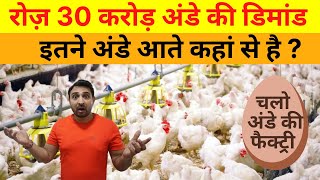 चलो अंडे की फैक्ट्री देखिए इतने अंड़े आते कहां से हैं ? || How Eggs are made || Brain Builder