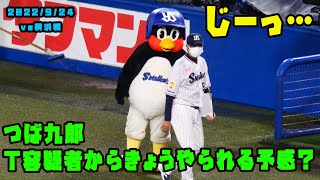 つば九郎　T容疑者からやられる予感してた？試合前に見つめる！　2022/9/24 vs横浜