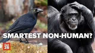 25 Things Science Got Totally WRONG
