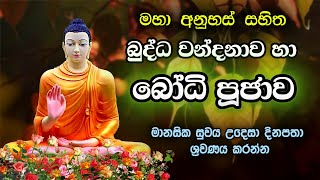 BUDDHA WANDANAWA HA Bodhi PUJAWA /🙏බුද්ධ වන්දනාව හා බෝධි පූජාව