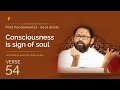 Verse 54 - Consciousness is sign of soul | Atmasiddhi Shastra Jnan Yajna