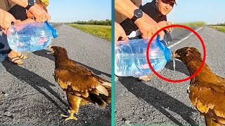 تجميعة لاكثر المواقف الانسانية في العالم | لعام 2024