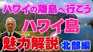 ハワイ島の魅力を徹底解説！北部のワイピオ渓谷やアカカ滝州立公園、ノスタルジックな街などを紹介します