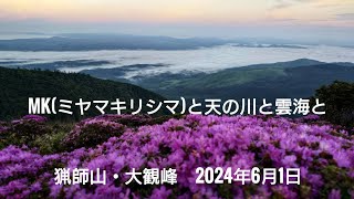 MK(ミヤマキリシマ)と天の川と雲海と 猟師山・大観峰 2024年6月1日 4K