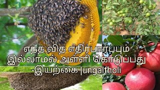 எந்த வித எதிர்பார்ப்பும் இல்லாமல் அள்ளி கொடுப்பது -இயற்கை |ungaltholi