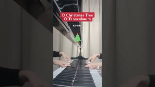 O Christmas Tree 🎄 O Tannenbaum🌲もみの木