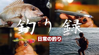 釣り録#5  今後が楽しみなルアーで釣ってきたよ！