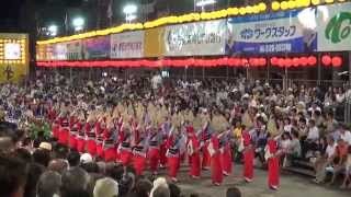 「水玉連、阿呆連」南内町演舞場 8月12日2部 徳島阿波おどり2014