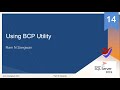 BCP Command in SQL Server 2019 | Bulk Copy Program Utility to Import and Export Data in SQL Server