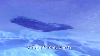 Star Trek Enterprise - Borg On Earth