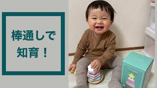 【知育玩具】かわいい棒通し【エド・インター Dreamy Tree遊んでみた】Baby plays Educational toy.