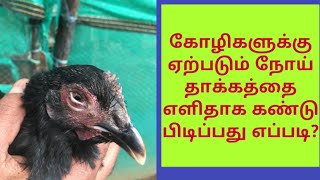 கோழிகளுக்கு ஏற்படும் நோய் தாக்கத்தை எளிதாக கண்டு பிடிப்பது எப்படி?