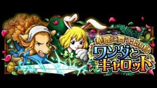 OPTC_祕寶尋航 雙週 華麗的王鳥之舞！絢爛華麗