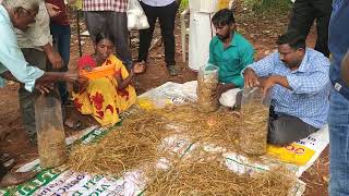 காளான் வளர்ப்பு பயிற்சி | இயற்கை விவசாயத்தை மீட்டபோம் | இயற்கை விவசாயம் |