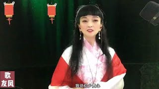 经典黄梅调《游凤》乡音浓浓，好听醉了