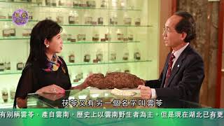 《世說本草》第37集：茯苓 The Chinese Materia Medica for us All