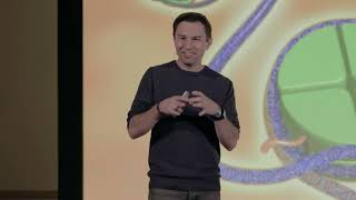 Is Aging Reversible? A Scientific Look with David Sinclair | David Sinclair | TEDxBoston