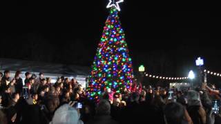 Winter Wonderland Holiday Tree Lighting