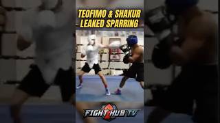 LEAKED Shakur Stevenson & Teofimo Lopez sparring session!