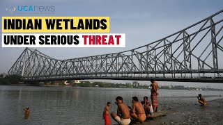 Destruction of wetlands in Kolkata threatens millions of Indians