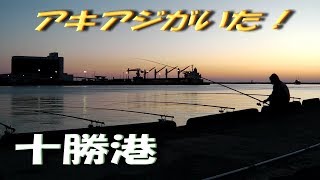 ★十勝港のアキアジ釣り★　諦めない限り夢は続く