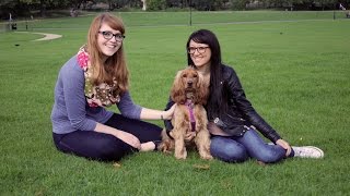 BorrowMyDoggy Waggy Tales: Ciccia, Morena and Eilidh