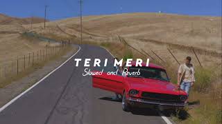 Teri Meri - Mickey Singh ( Slowed + Reverb )