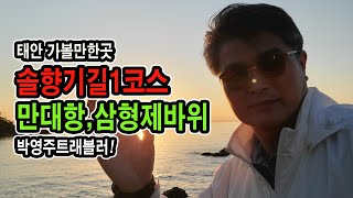 태안여행시리즈1편 태안가볼만한곳 트레킹 코스 소개ㅣ 솔향기길  1코스ㅣ만대항 ㅣ삼형제바위