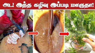 மீன் வாங்கும்போது இத யோசிச்ருகீங்களா? | PSR Organics \u0026 Fish Market