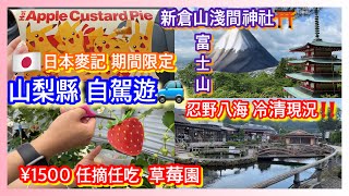 【日本旅遊】東京山梨自駕 富士山 忍野八海 新倉山淺間公園 忠靈塔 任摘草莓園🍓 麥當勞期間限定開箱 Japan Tokyo Yamanashi Mount Fuji 4k VLOG