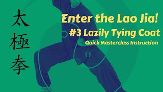 Chen Tai Chi - Enter the Lao Jia | #3 Lazily Tying Coat | Quick Masterclass Instruction