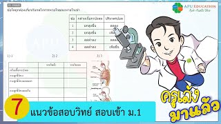 [7]วิทยาศาสตร์ เตรียมสอบเข้า ม.1 Gifted