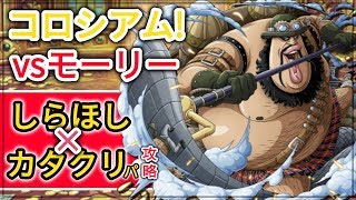 『トレクル・OPTC』｜コロシアム(カオス)！vsモーリー｜しらほし × カタクリパ攻略｜葉雨