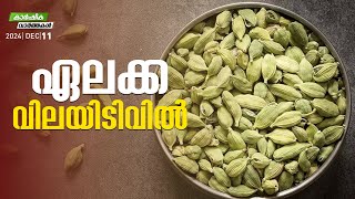 ഊര്‍ജ്ജം കൈവരിച്ച് റബര്‍ തോട്ടങ്ങള്‍ |  Agri News Malayalam | Myfin Tv Business