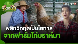 พลิกวิกฤตเป็นโอกาส จากฟาร์มไก่บราห์มา | พอดีพอเพียง