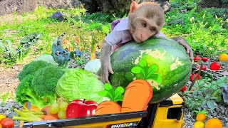 Smart Bim Bim harvests vegetables to feed Amee so cutely