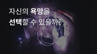 자유의지는 없다?