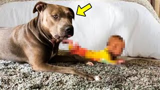 Dog Refused To Let Baby Sleep Alone, Parents Find Out Why And Call 911!