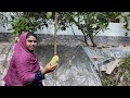 তিন বছর ধৈর্য ধারন করে যা পেলাম তাতে আমি হতাশ | Doyel Agro