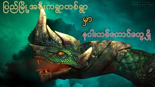 ပြည်မြို့အနီးကရွာတစ်ရွာမှာနဂါးတစ်ကောင်တွေ့ရှိခဲ့မှု ဗီဒီယိုဖိုင်