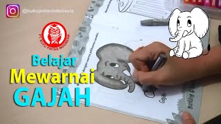 Download 760 Koleksi Gambar Gradasi Gajah Terbaru Gratis HD