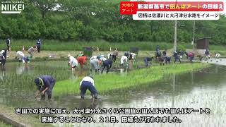 【大地の芸術】新潟県燕市の大河津分水さくら公園脇の田んぼで「田んぼアート」