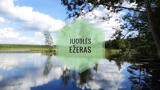 Juodlės ežeras (tvenkinys) 2020 vasarą, 4K UHD, pakrančių nuotraukos, Kelmės rajonas #vgumbakis