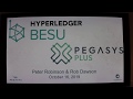 Hyperledger Besu and PegaSys Plus