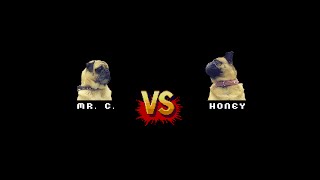 Mr. C. vs. Honey