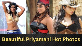 Beautiful Priyamani Hot Photos