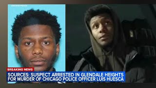 Breaking: Suspect in CPD officer's murder arrested in west suburbs, sources say