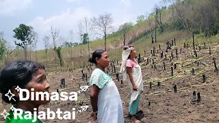 Dimasa Rajabtai | Dimasa Folk Song Female Version